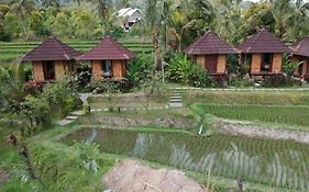 Puri Sunny Camp